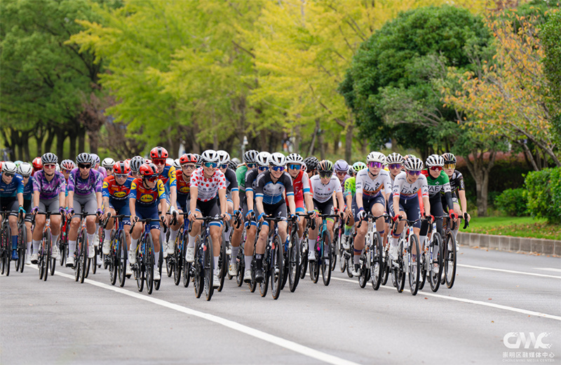 崇中赛段的, img, img 崇中赛段的, img, img